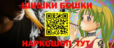 СК Бийск