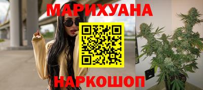СК Бийск