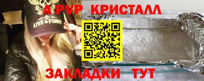 СК Бийск