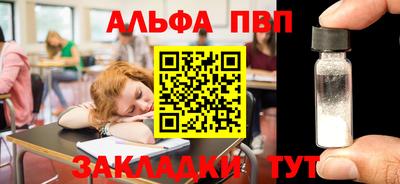 СК Бийск