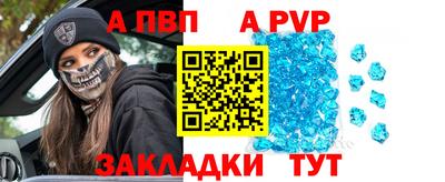 СК Бийск