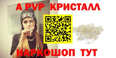 СК Бийск