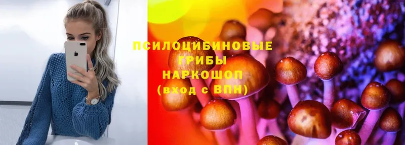 Псилоцибиновые грибы Cubensis  наркотики  Владикавказ 