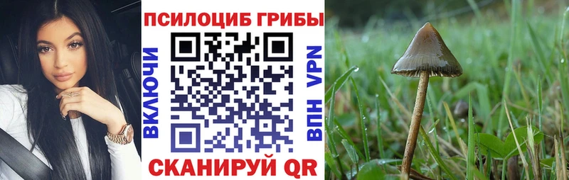 Псилоцибиновые грибы Psilocybine cubensis  Владикавказ 