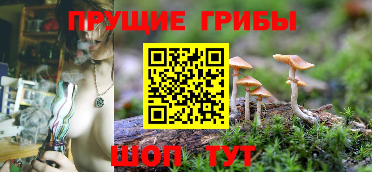 Галлюциногенные грибы мицелий  Вход с VPN  Владикавказ 