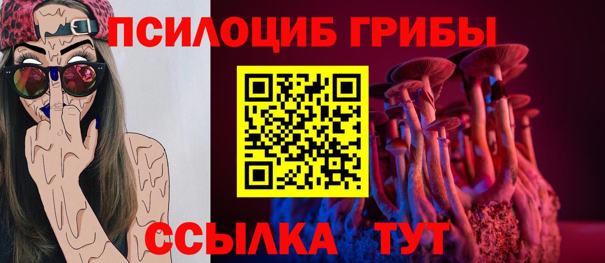 Псилоцибиновые грибы Cubensis Владикавказ