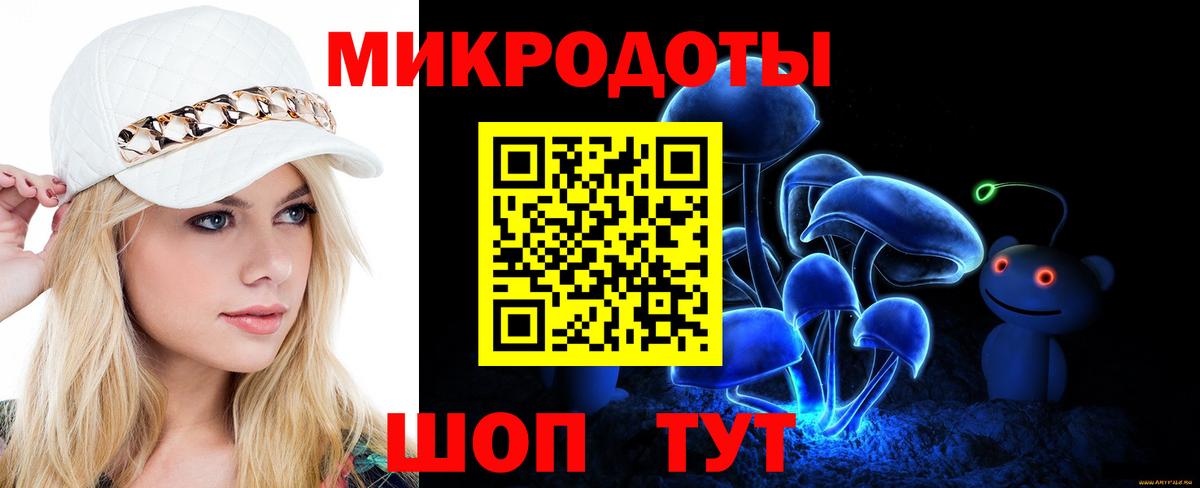 Галлюциногенные грибы Psilocybe Владикавказ
